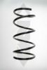 SPIDAN 85104 Coil Spring